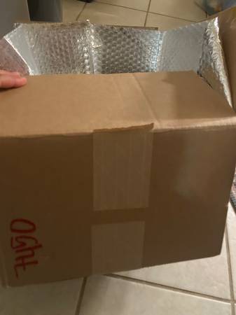 Free shipping box with styrofoam 1