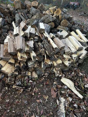 Seasoned Firewood (oak) 1