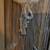 Wood House Door With Horse Carving 5 thumbnail