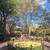 NO FEE!  Sundrenched, charming south facing spacious Greenwch Vil 1br 13 thumbnail