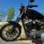 2019 Harley-Davidson Sportster Iron 883 4 thumbnail