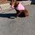 3 amazing dogs need a home 2 thumbnail