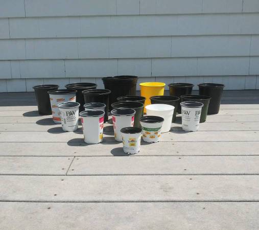 Plant containers 1