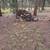 Free firewood 3 thumbnail