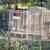 Bird cages 5 thumbnail