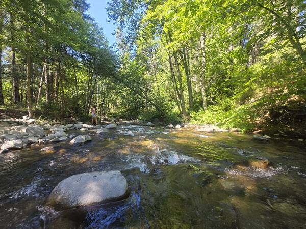 $98,000 10ac Shasta "Park Like" ON Montgomery Creek "river" offgridprvt terms (Eastern Shasta)63961338750082124
