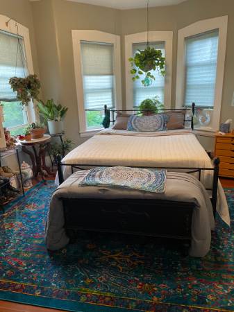$1,600 / 1br - Amplio departamento de una habitación en primer piso (Florence MA)64017045478402122