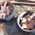 International Harvester 249? corn planter parts 10 thumbnail