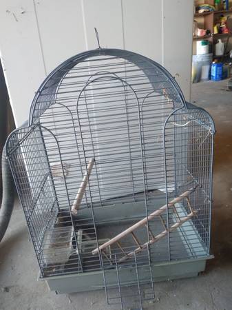 Bird cage 1