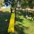 Well Maintained Cedar Swing Set, includes slide and teeter totter 1 thumbnail