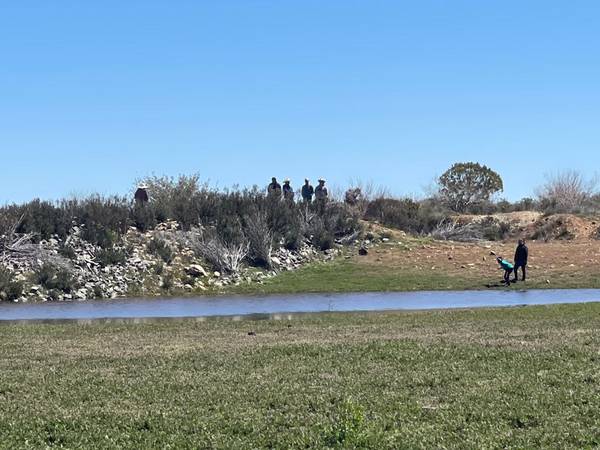 $35,000 Rural lots per hectare!!! (Ensenada)64217145946625121