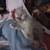Gorgeous Ragdoll kitten 2 thumbnail