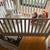 Solid wood white crib with mattress 1 thumbnail