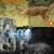 NEW Trail Camera, 5K 60MP Game Camera with No Glow Night Vision, 150°W 4 thumbnail