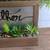 Succulent Arrangement 3 thumbnail