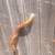 Snake head walking stick 1 thumbnail