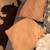 Pet/dog/cat-Body pillows, pillows, blankets, linens 7 thumbnail