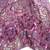 beaded shawl or wrap 1 thumbnail