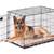 Large Dog Kennel 42”L x 28”w x 31”H 1 thumbnail