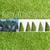 Artificial Grass Turf $0.79 Sq Ft 1 thumbnail
