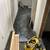 FLOOR  STAIRS INSTALLATION   AND  RENOVATION  WOOD  WORK  HANDYMAN   SERVICE 4 thumbnail