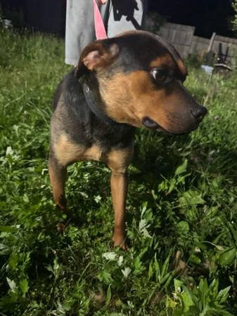Luna (East Berlin)63873145990147122