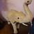Large Decorative Burlap Good Luck Elephant Figure Statue 12”x13”-Tail 4 thumbnail