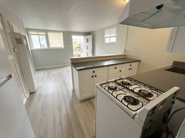 $1,295 / 1br - 4212 5 Spacious Daylight Basement Apartment for Rent (Seattle)63850640960641121