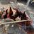 Young chickens 4 thumbnail