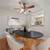1 bed 1 bath condo in the sought after Terrace Condo Community. 1 thumbnail