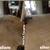 714 650 2308...CARPET CLEANING PROFESSIONALS 5 thumbnail
