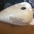 Harley OEM Batwing fairings 3 thumbnail