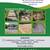 Pavers - Concrete - Pressure Washing - Paver Sealing 1 thumbnail