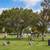 Cemetery Plots - Harbor Lawn, Costa Mesa - Mt. Olive Memorial Park 4 thumbnail