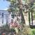 Tree Cutting Tree Removal & Tree Branch trimmings Services 9 thumbnail