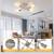4-Light Semi Flush Mount Ceiling Light, Silver Sputnik Chandelier Brushed Nickel 9 thumbnail