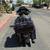 2007 Harley-Davidson FLHX - Street Glide 7 thumbnail