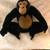 E & J Classic Limited Prima Collection Very Plush Black & Brown Monkey/Ape 1 thumbnail