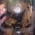 Little Sea Isopods 2 thumbnail