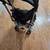 Stroller 3 thumbnail