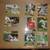 WASHINGTON NATIONAL TRADING CARDS 3 thumbnail