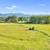Over 20 Acres for Sale! 18 thumbnail
