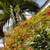 Canal Access, Hardwood Floors in select Villas, 2B/1B 6 thumbnail