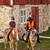 haflinger team 7 thumbnail