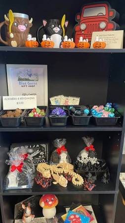 NEW STORE OPENS IN ELYRIA (Elyria)63686604936579123