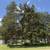 3-Bedroom Home with Large Lot 2 thumbnail