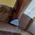 Breedlove Premier Concertina Copper E 15 thumbnail