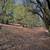 Gold Country, 9.43 acres 2000+ sq.ft cabin off grid 14 thumbnail