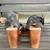Free People Womens Black Walk This Way Clog 4 thumbnail