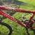 Giant mountain bike 3 thumbnail